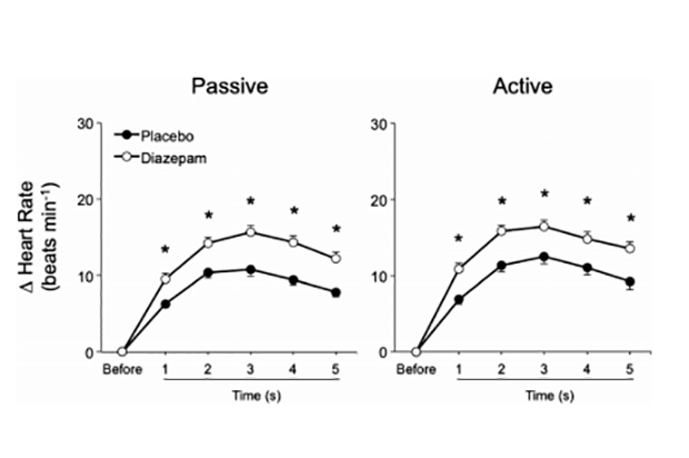 NeuroVASQ2