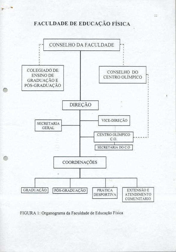 Resolução de criação da FEF2